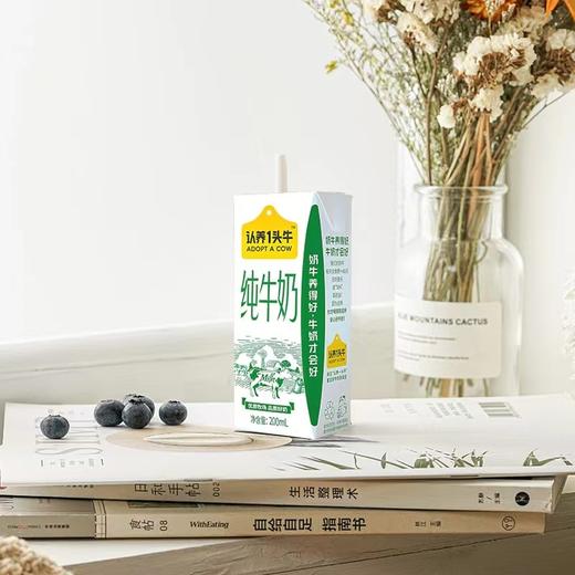 认养1头牛纯牛奶（整箱） 商品图0