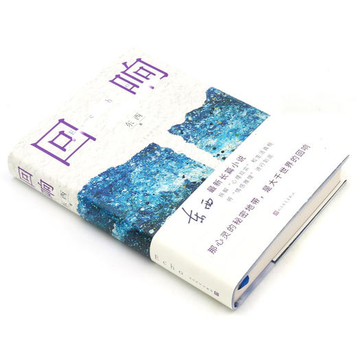 2021中国好书 回响 东西长篇力作 拆解心理现实和生活真相+情感推理侦破推理小说模式中国现当代文学正版书籍畅销书人民文学 商品图1