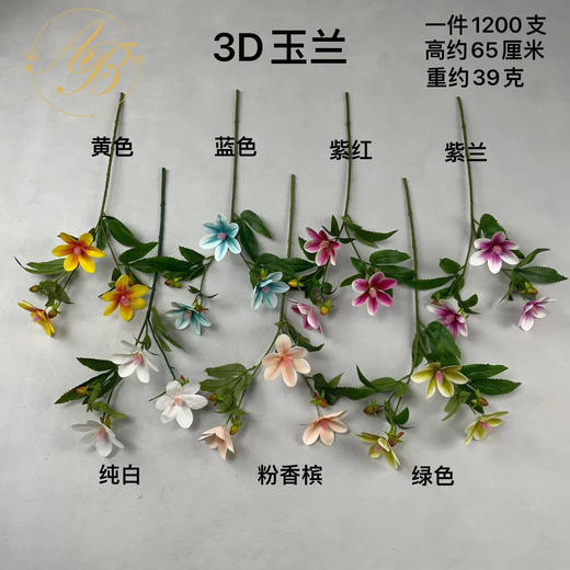 3D玉兰（运费自理） 商品图0