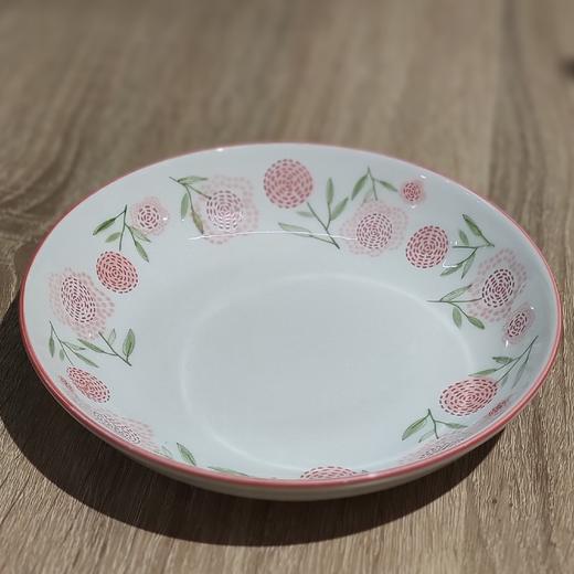 雅诚德y20-280饭盘 商品图0