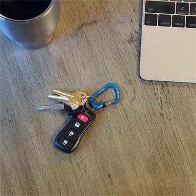 NiteIze奈爱登山扣d型挂扣铝合金快挂钥匙扣水杯挂钩快扣安全锁扣 商品图3