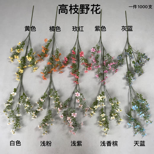 高枝野花（运费自理） 商品图0