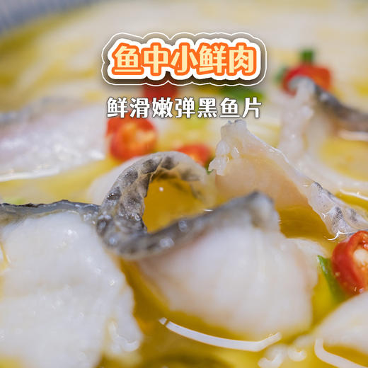 【酸辣爽口 活鱼现切】老坛酸菜鱼450g*3袋 精选黑鱼片 快手菜 免浆 半成品 火锅  叮叮懒人菜 包邮 商品图1
