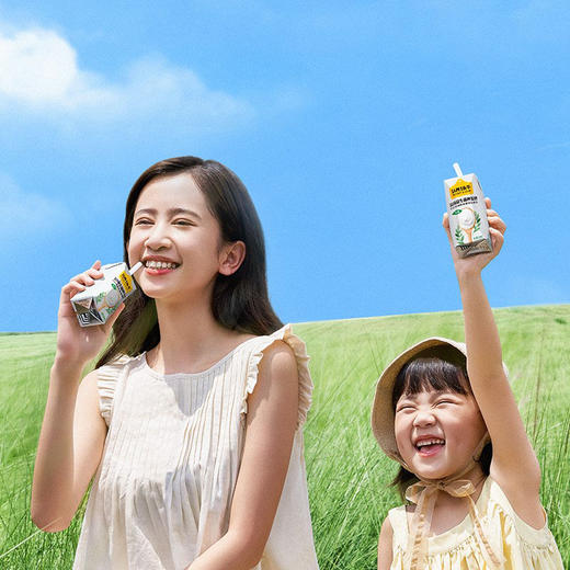 认养一头牛 酸奶 一箱装 200g*12/两箱装 200g*12 商品图1