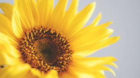 95%的人会掉进的减肥误区 