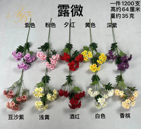 露微（运费自理）