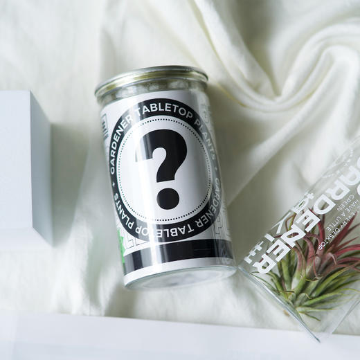 植人一生：植物盆栽系列 商品图5