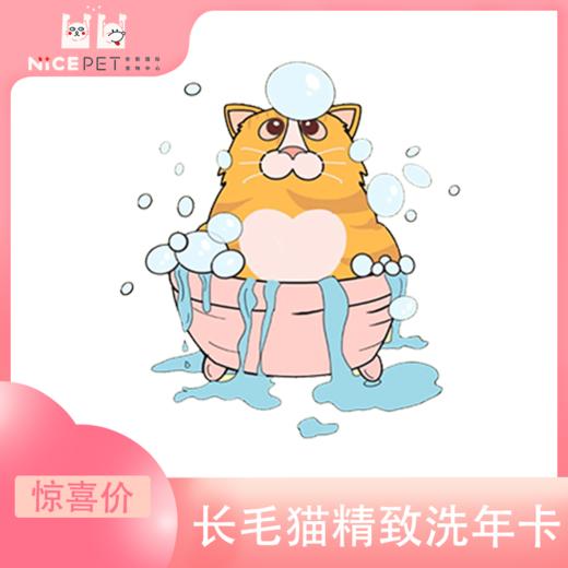 长毛猫精致洗护次卡（中南店） 商品图0