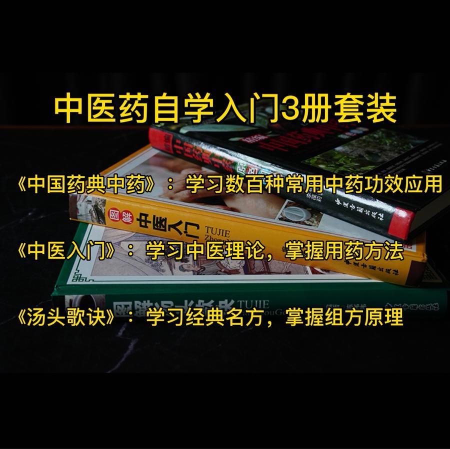 中医药自学入门3册套装 中国药典 理论方法 中药组方