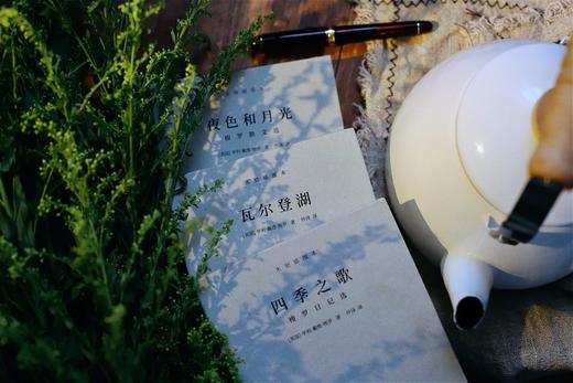 【读者的精神栖息地】《梭罗文集：瓦尔登湖+四季之歌+夜色和月光》（全3册） 商品图6