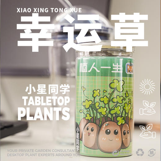 植人一生：植物盆栽系列 商品图3