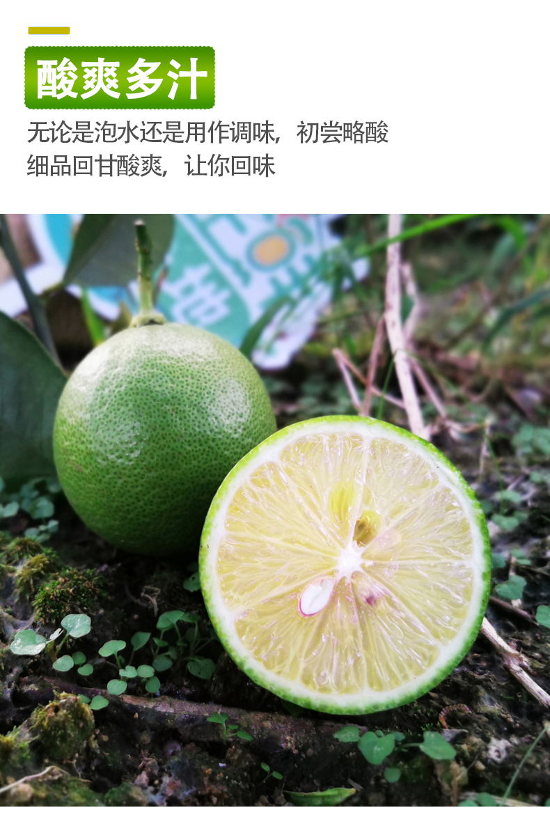 台湾四季青柠檬 酸爽多汁 清香怡人 新鲜采摘 3斤装