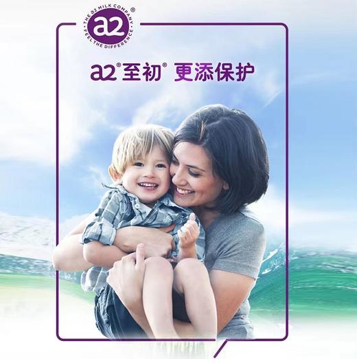 【国行版】A2至初白金1段900g（新国标新效期6罐装） 商品图9