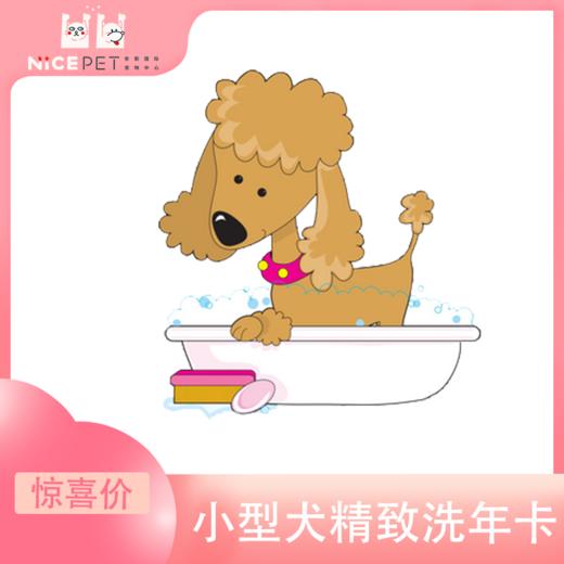 小型犬精致洗护次卡（中南店） 商品图0
