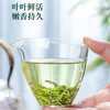 高山绿茶罐装125g/罐*2 商品缩略图3