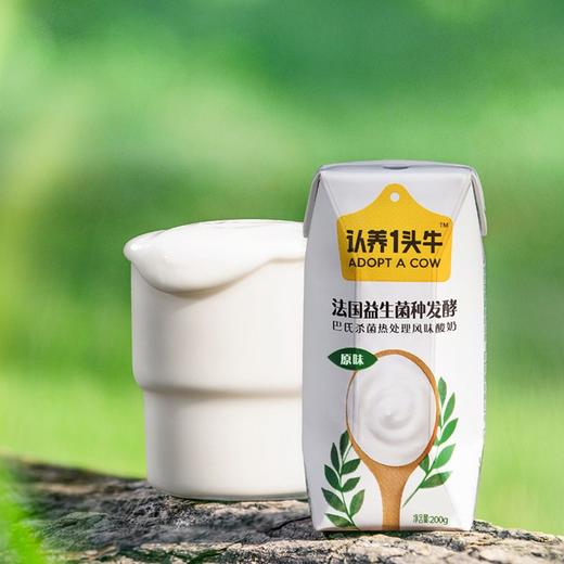认养一头牛 酸奶 一箱装 200g*12/两箱装 200g*12 商品图4