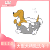 大型犬精致洗护次卡（中南店） 商品缩略图0