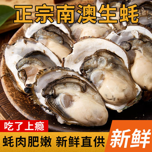 【直发】带壳生蚝2500g 商品图4