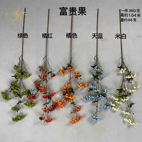 富贵果（运费自理）