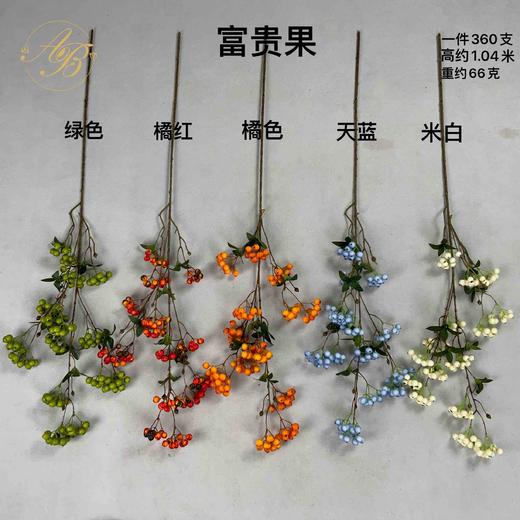 富贵果（运费自理） 商品图0