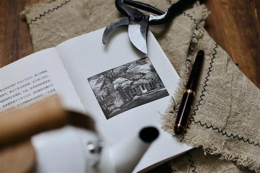 【读者的精神栖息地】《梭罗文集：瓦尔登湖+四季之歌+夜色和月光》（全3册） 商品图11