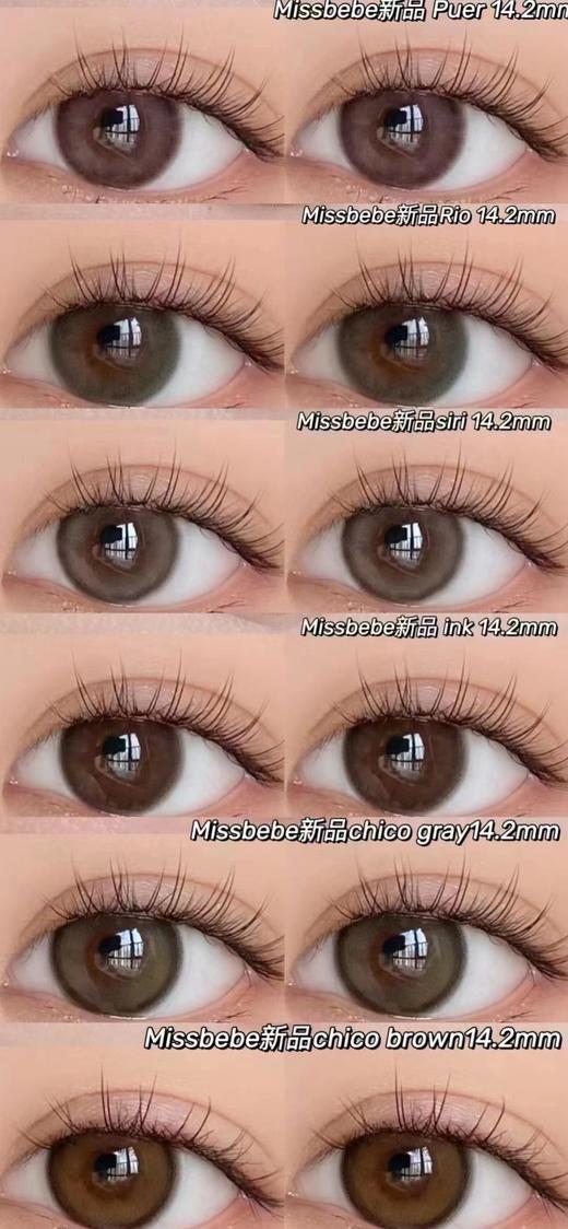 bebebest miss bebe年抛 商品图1