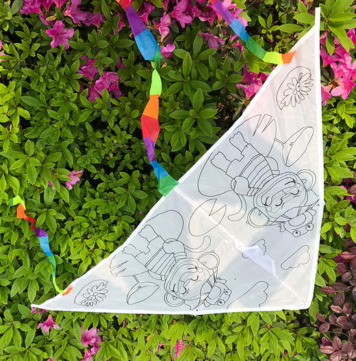 直播间-单件包邮-DIY涂色风筝套装（风筝一枚，12色水彩笔一包，30米风筝线轴） 商品图13