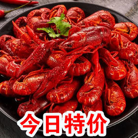蒜香小龙虾