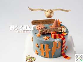 哈利波特款【深色色素较重】