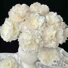 妈妈的选择母爱芍药花5支