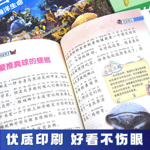 全套12册儿童课外阅读书籍 科普百科一年级二年级课外书必读老师推荐正版注音版小学生经典读物 适合带拼音的故事书绘本6-7一8-9岁 商品图3