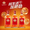 中国劲酒光瓶35度520ml 商品缩略图0