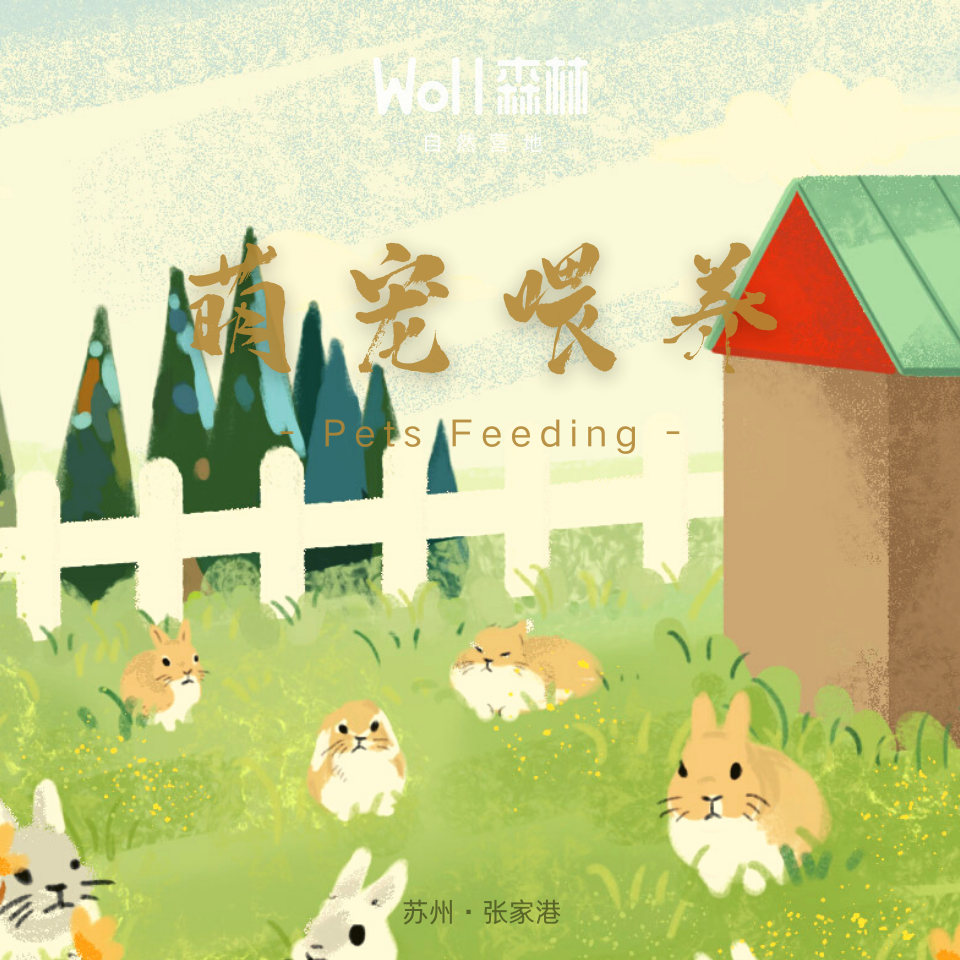萌宠喂养 | 张家港Woll森林自然营地，在森林里遇见可爱的小兔子和小松鼠等，快来给它们喂食吧。