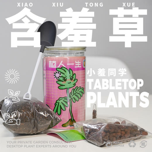 植人一生：植物盆栽系列 商品图4