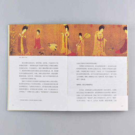 (仓发) 新民说·风雅宋：看得见的大宋文明（2018年中国好书、《羊城晚报》年度好书、新浪好书年度十大好书、《中国新闻出版广电报》年度好书、《作家文摘》/9787559800817 商品图5