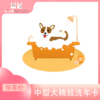 中型犬精致洗护次卡（中南店） 商品缩略图0