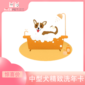 中型犬精致洗护次卡（中南店）