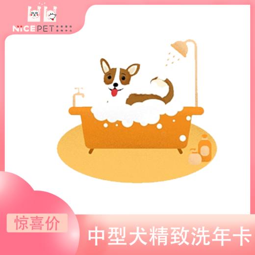 中型犬精致洗护次卡（中南店） 商品图0