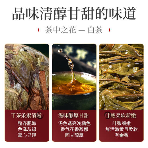 云南白茶龙珠花蜜香，高山雲峰出好茶160g 商品图3