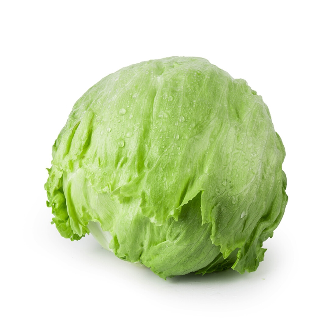 【生鲜预定】圆生菜1kg