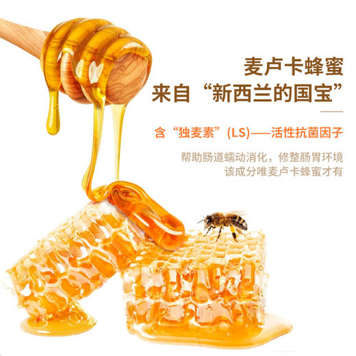 梅花乡 青梅精蜜饮麦卢卡蜂蜜荆条蜂蜜液60g/盒（12gx5支） 商品图3