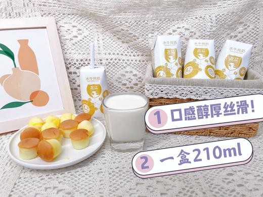 冰淇淋口感 ！【左江水牛纯奶】原生放牧 珍贵奶源  宝宝儿童牛奶  香浓甘甜 牛奶醇香 210ml*10盒/箱 商品图7