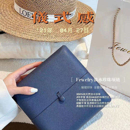 天然淡水珍珠项链 轻奢小众设计高级感锁骨链颈链复古配饰 商品图9