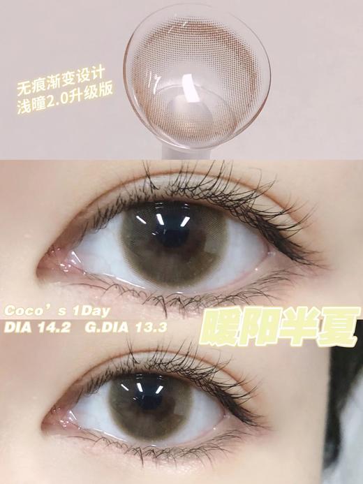 【日抛】暖阳半夏·Cococon丨14.2mm（日抛/10片装） 商品图0