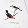 【丹麦】汉娜·斯特拉格《达尔文传：从平凡顽童到博物学家》 商品缩略图7