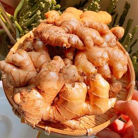 10元2斤新鲜姜一份