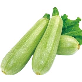 10元3斤新鲜西葫芦一袋