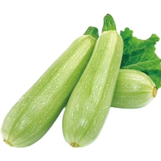10元3斤新鲜西葫芦一袋 商品图0