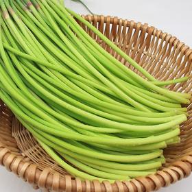 10元3斤新鲜蒜苔一份