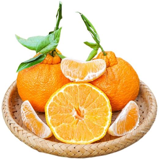 40元5斤不知火丑橘特级果 商品图0